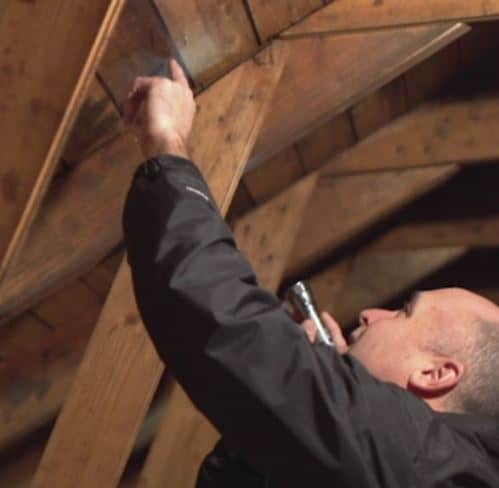 Inspect your attic for water stains and wet insulation, as these can be signs of roof leaks. Photo provided by CertainTeed.