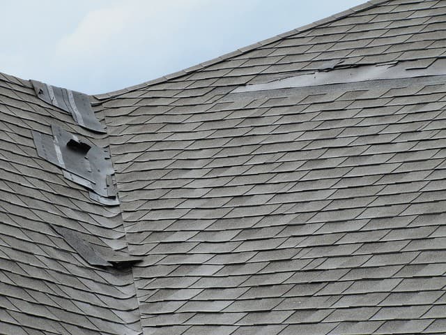 Storm Damaged Roof Shingles
